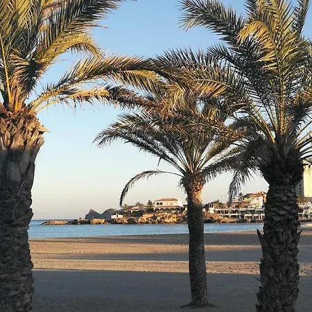 Paca * Javea